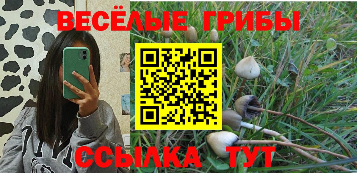 Галлюциногенные грибы ЛСД  Вход с VPN  Можга 