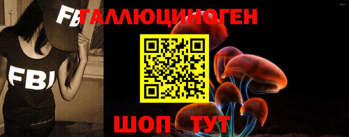 Галлюциногенные грибы Cubensis Можга